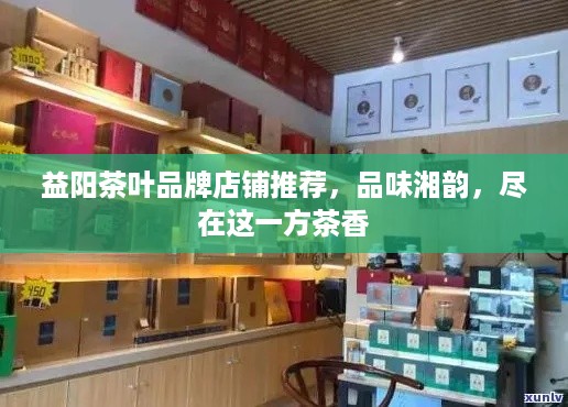 益阳茶叶品牌店铺推荐，品味湘韵，尽在这一方茶香
