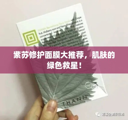 紫苏修护面膜大推荐，肌肤的绿色救星！