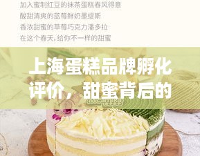上海蛋糕品牌孵化评价，甜蜜背后的孵化之路