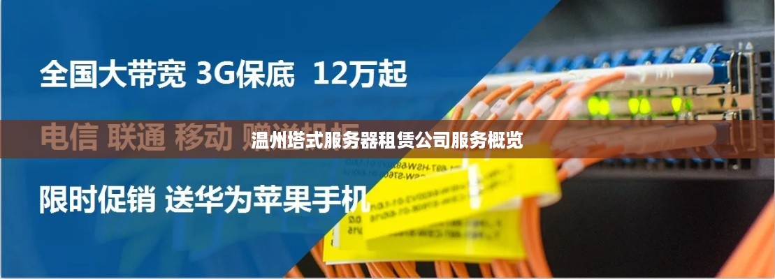 温州塔式服务器租赁公司服务概览