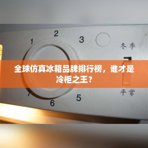 全球仿真冰箱品牌排行榜，谁才是冷柜之王？