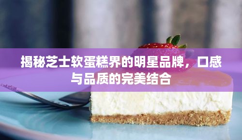 揭秘芝士软蛋糕界的明星品牌，口感与品质的完美结合