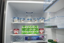 盘点性价比之王！这些低价高性价比冰箱品牌让你买得放心用得舒心