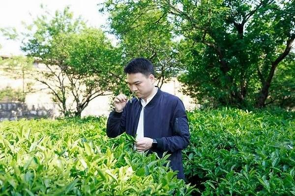茶香四溢，品味人生—茶叶品牌创始人风采录