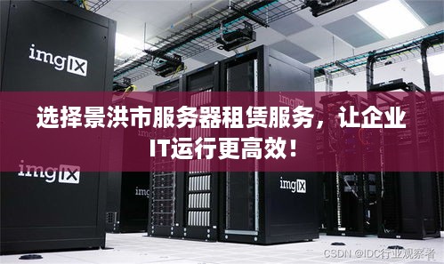 选择景洪市服务器租赁服务，让企业IT运行更高效！