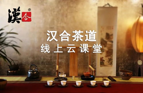 乐臻—探寻中国茶文化的魅力代表