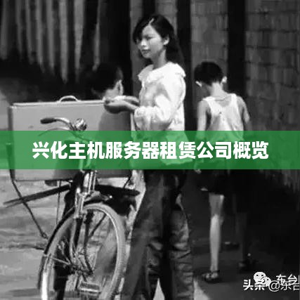 兴化主机服务器租赁公司概览