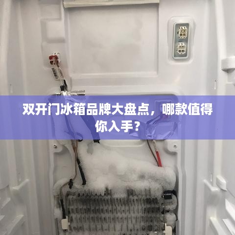双开门冰箱品牌大盘点，哪款值得你入手？