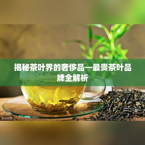 揭秘茶叶界的奢侈品—最贵茶叶品牌全解析