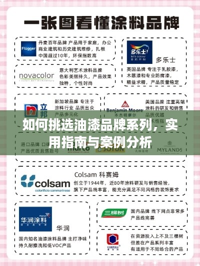 如何挑选油漆品牌系列，实用指南与案例分析