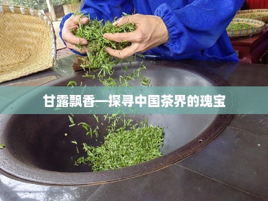 甘露飘香—探寻中国茶界的瑰宝