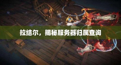 拉结尔，揭秘服务器归属查询