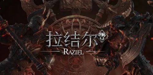 拉结尔，揭秘服务器归属查询