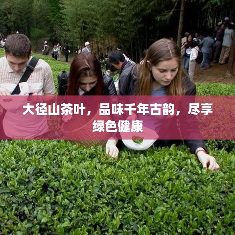 大径山茶叶，品味千年古韵，尽享绿色健康