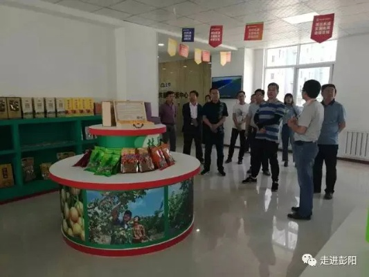 彭阳电商发展，服务器租赁助力腾飞