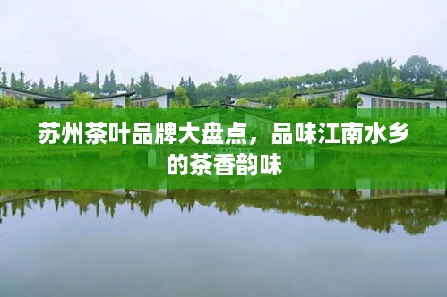苏州茶叶品牌大盘点，品味江南水乡的茶香韵味