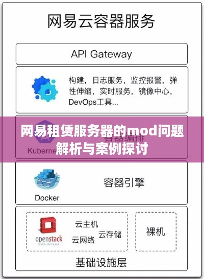 网易租赁服务器的mod问题解析与案例探讨
