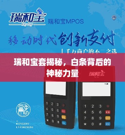 瑞和宝套揭秘，白条背后的神秘力量