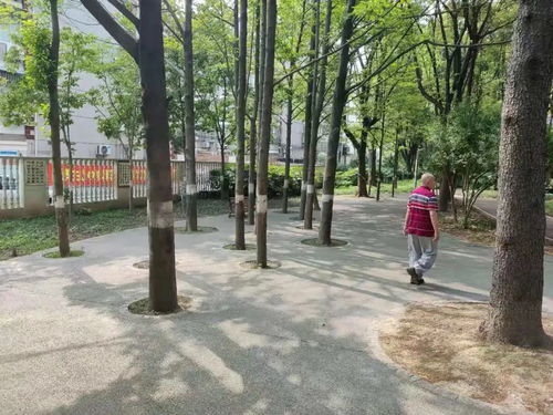 盘点国内受欢迎的爱国卫生巾品牌，守护女性健康与尊严