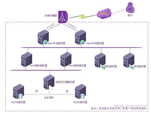 交易服务器入口选择攻略