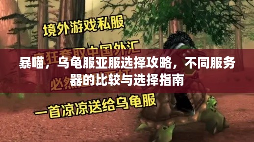 暴喵，乌龟服亚服选择攻略，不同服务器的比较与选择指南