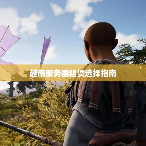 越南服务器租赁选择指南