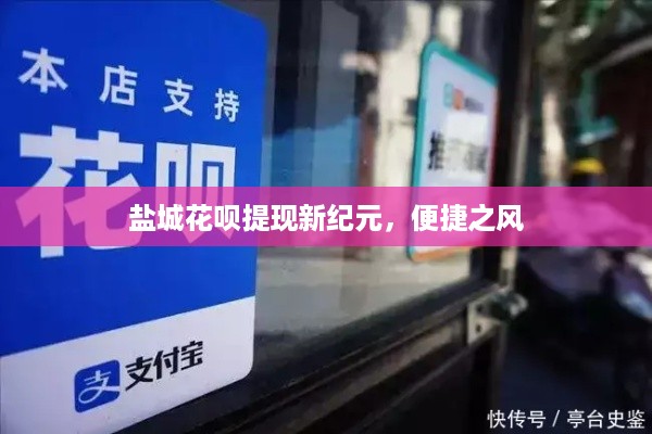 盐城花呗提现新纪元，便捷之风
