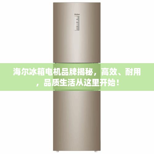 海尔冰箱电机品牌揭秘，高效、耐用，品质生活从这里开始！