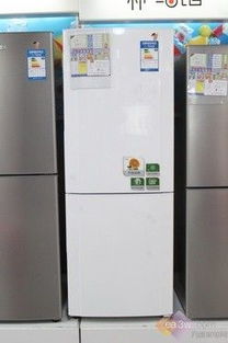 海尔冰箱电机品牌揭秘，高效、耐用，品质生活从这里开始！