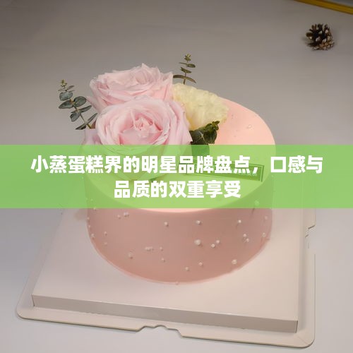 小蒸蛋糕界的明星品牌盘点，口感与品质的双重享受