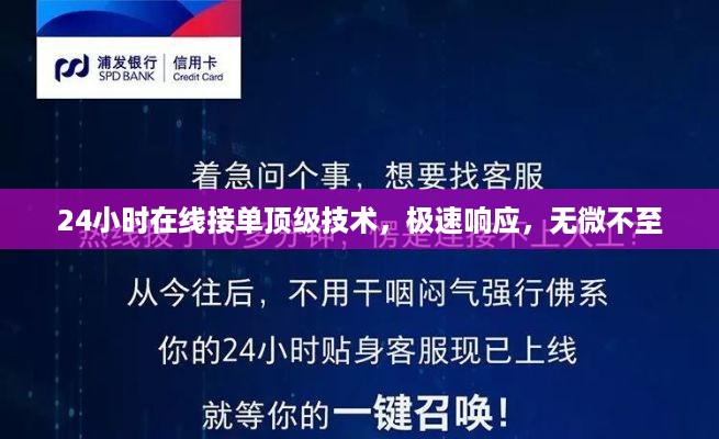 24小时在线接单顶级技术，极速响应，无微不至