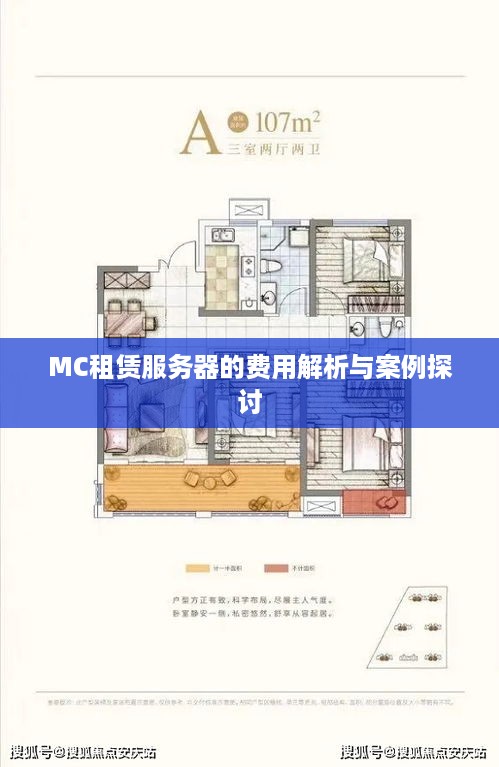 MC租赁服务器的费用解析与案例探讨