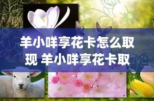 羊小咩享花卡提现攻略，轻松3800元大放送