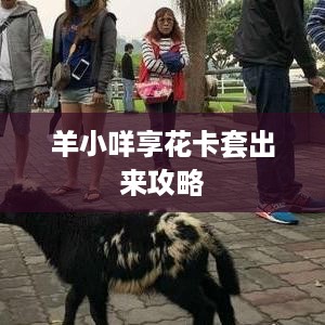 羊小咩享花卡套出来攻略