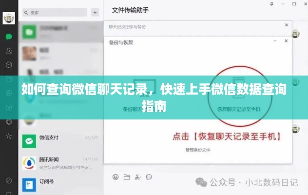 如何查询微信聊天记录，快速上手微信数据查询指南