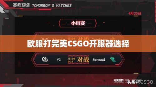 欧服打完美CSGO开服器选择