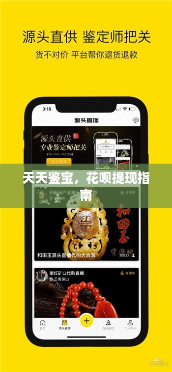 天天鉴宝，花呗提现指南