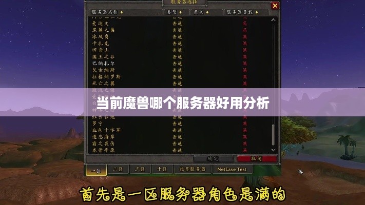 当前魔兽哪个服务器好用分析