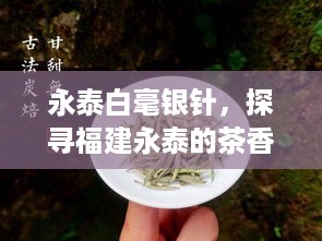 永泰白毫银针，探寻福建永泰的茶香传奇