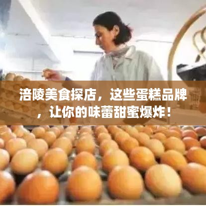涪陵美食探店，这些蛋糕品牌，让你的味蕾甜蜜爆炸！