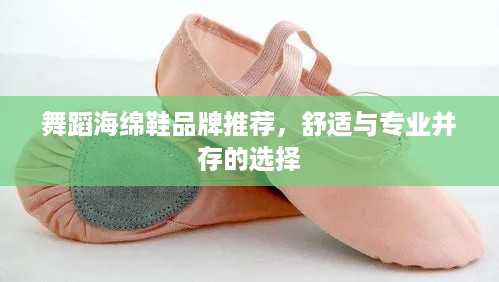 舞蹈海绵鞋品牌推荐，舒适与专业并存的选择