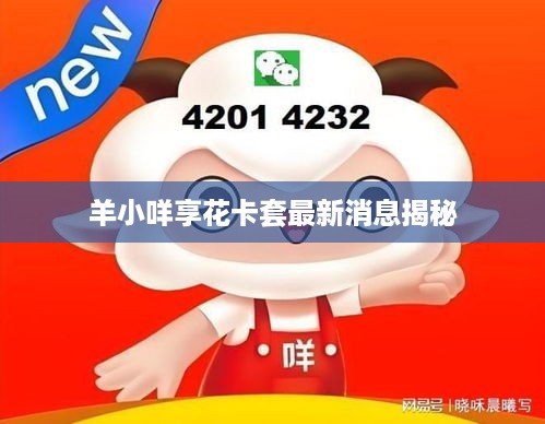 羊小咩享花卡套最新消息揭秘