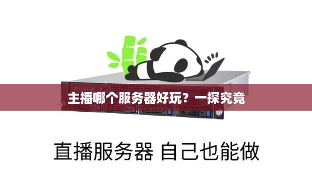 主播哪个服务器好玩？一探究竟