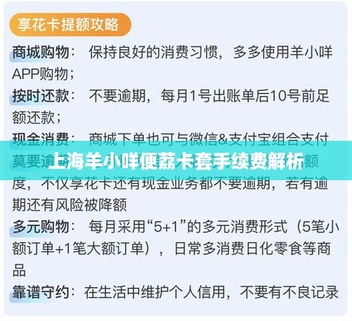 上海羊小咩便荔卡套手续费解析