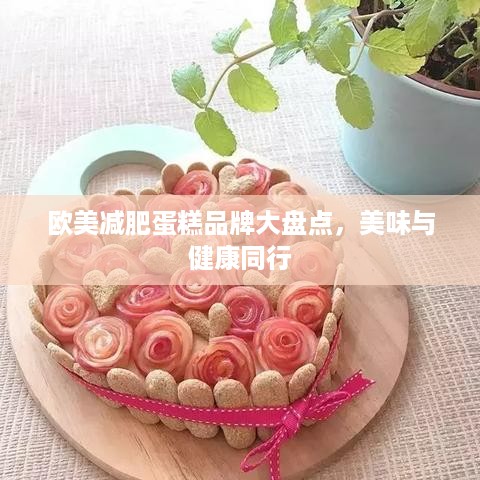 欧美减肥蛋糕品牌大盘点，美味与健康同行