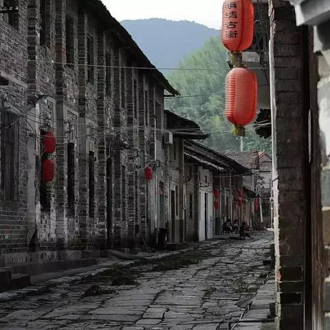 汉口茶叶品牌设计，传承与创新的艺术之旅