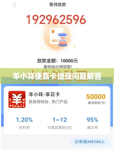 羊小咩便荔卡提现问题解答
