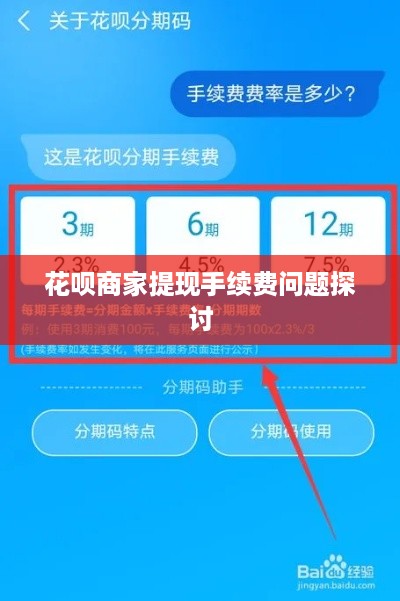 花呗商家提现手续费问题探讨