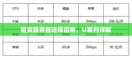 租赁服务器选择指南，U系列详解