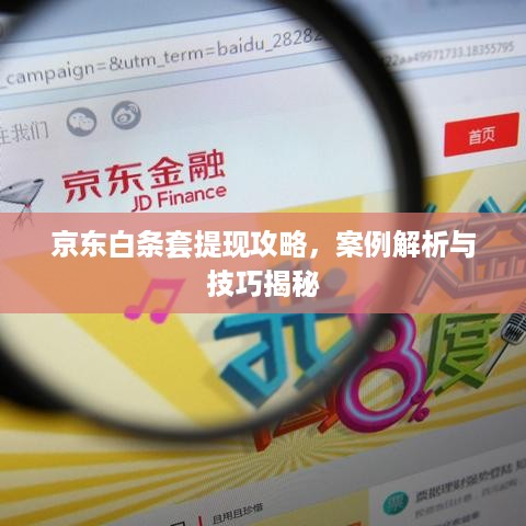 京东白条套提现攻略，案例解析与技巧揭秘